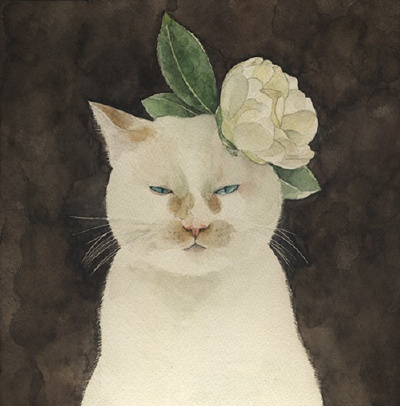 猫的国度。日本插画师山田绿笔下的喵星人http://www.52souluo.com/72992.html