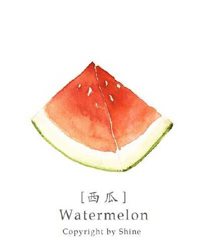 西瓜 【喵呜】