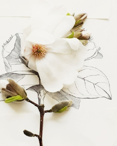 花 与画