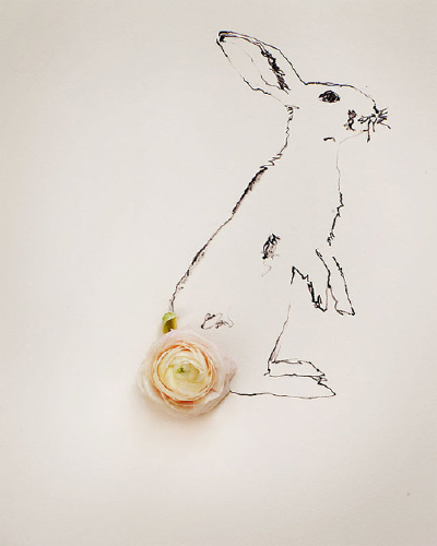 花 与画