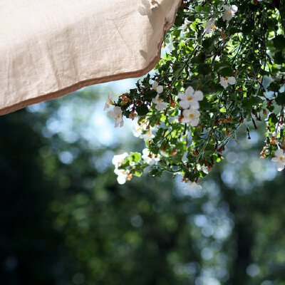 summer