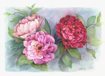 法国艺术家Anne-Marie Patry-Belluteau花与海的水彩画集。她的画风清丽细腻，暗香浮动与一碧万顷跃然纸上。 包含四个专辑《花》《海湾》《风景》《人像》 共收录129张图片。（画家主页：http://www.dessins-aquarell…