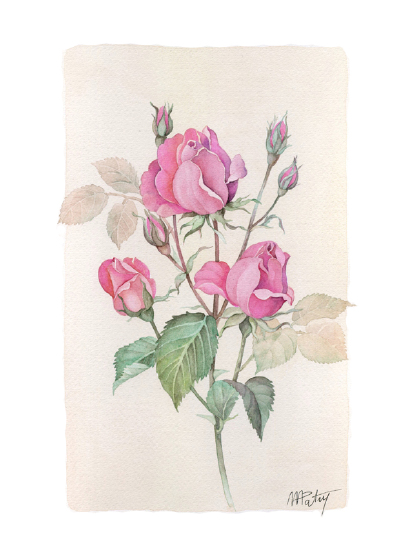法国艺术家Anne-Marie Patry-Belluteau花与海的水彩画集。她的画风清丽细腻，暗香浮动与一碧万顷跃然纸上。 包含四个专辑《花》《海湾》《风景》《人像》 共收录129张图片。（画家主页：http://www.dessins-aquarell…