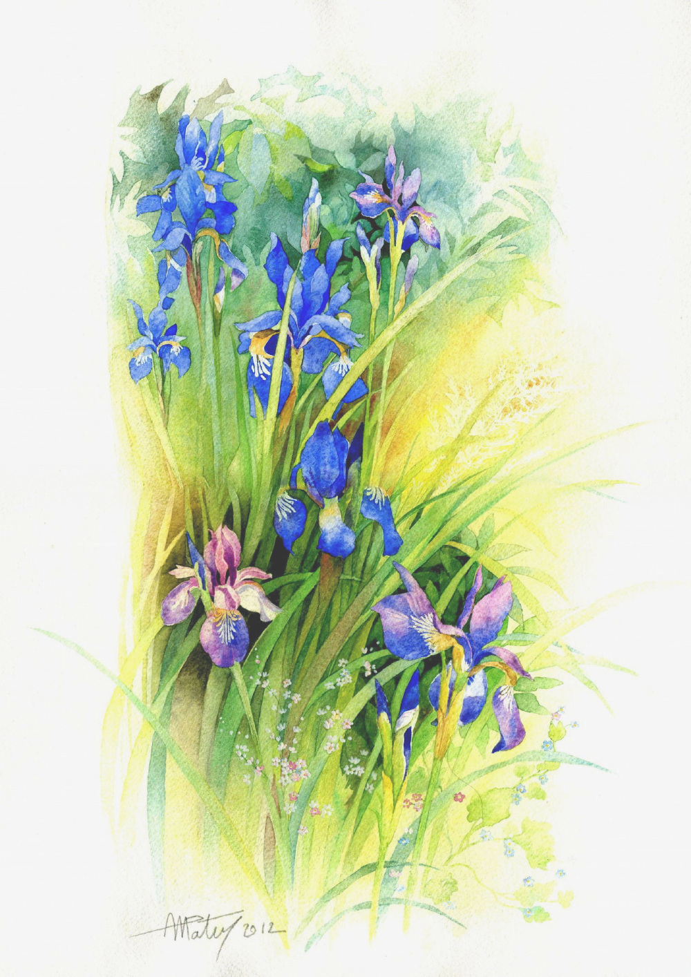 法国艺术家Anne-Marie Patry-Belluteau花与海的水彩画集。她的画风清丽细腻，暗香浮动与一碧万顷跃然纸上。 包含四个专辑《花》《海湾》《风景》《人像》 共收录129张图片。（画家主页：http://www.dessins-aquarelles.com/）