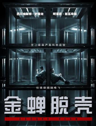雷·布雷斯林是最强的越狱高手，曾在8年内成功逃出14座安全防卫工程最严密的重刑监狱。他的真正身份是美国国家安全局的监狱安管专家，每一次越狱成功，就代表他能找出该个监狱的安管漏洞，进而强化改善。这回是雷退休…