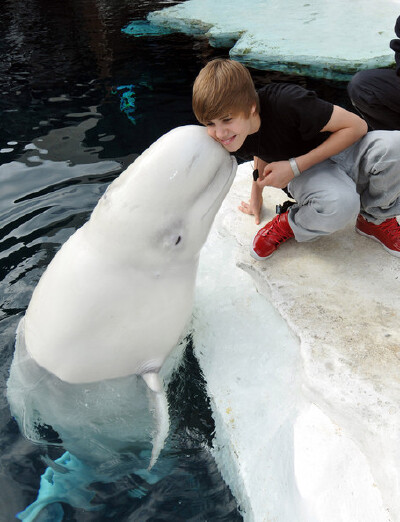 Justin Bieber~\(≧▽≦)/~