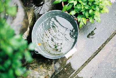 夏天的雨