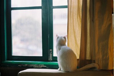把窗