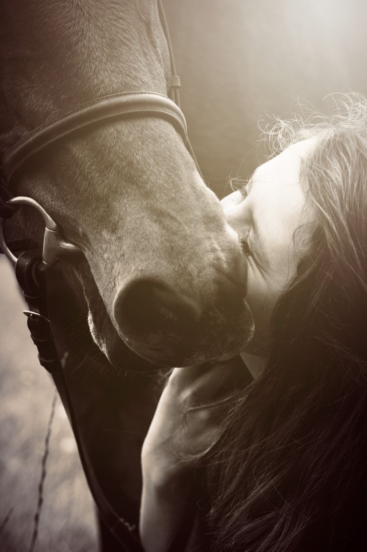 Horse We Heart It