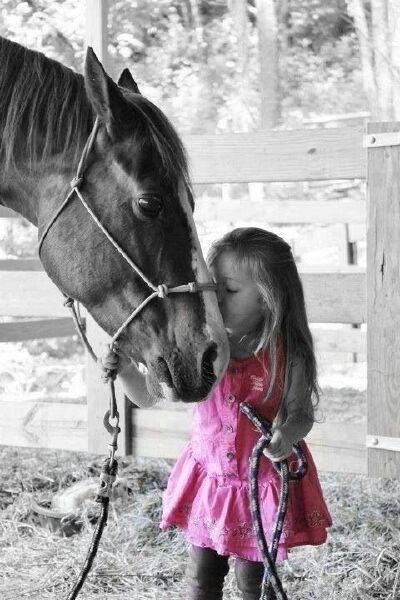 Horse We Heart It