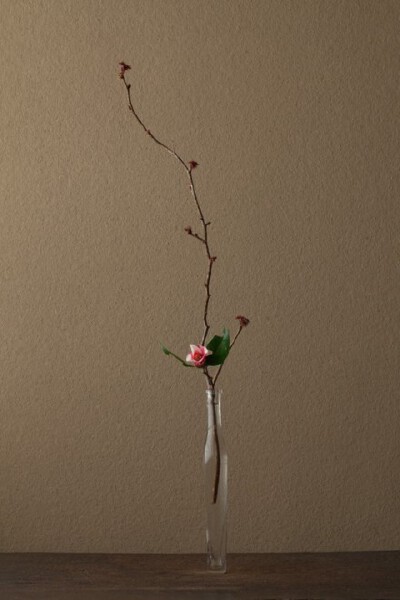 一日一花 B162