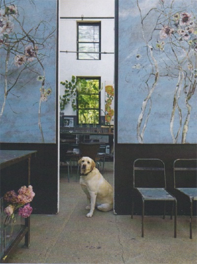 Claire Basler