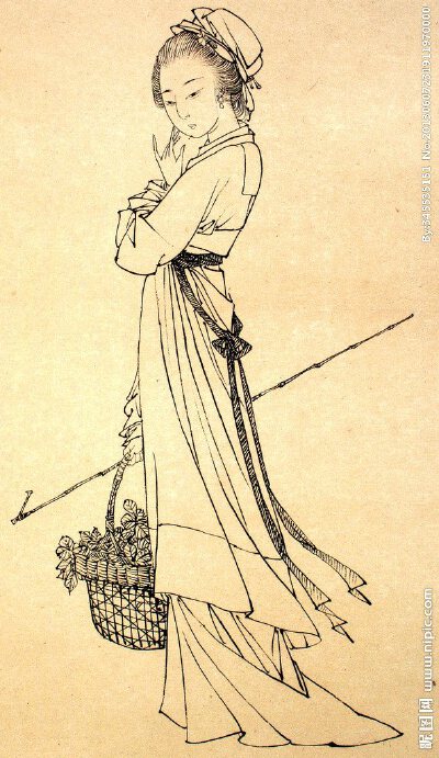  菜岚工笔白描作品集