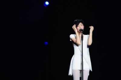 2010 — 2011 王 菲 演 唱 会