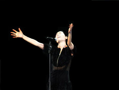 2010 — 2011 王 菲 演 唱 会