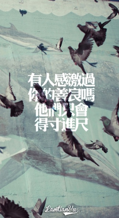 Lamtianyu 壁纸 勿二改 原宿 欧美 句子