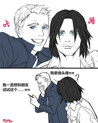 盾冬