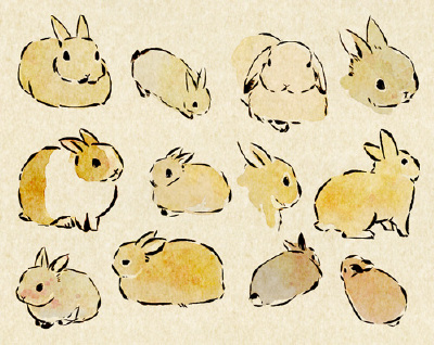 兔子。-----日本画师usao（兎尾@taiga15）的动物插画。