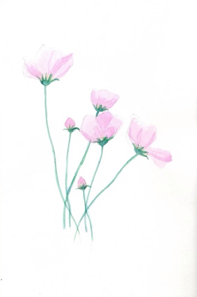 小清新 花