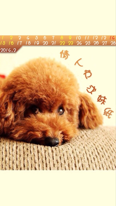求对象