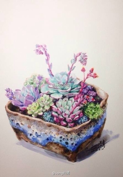 多肉