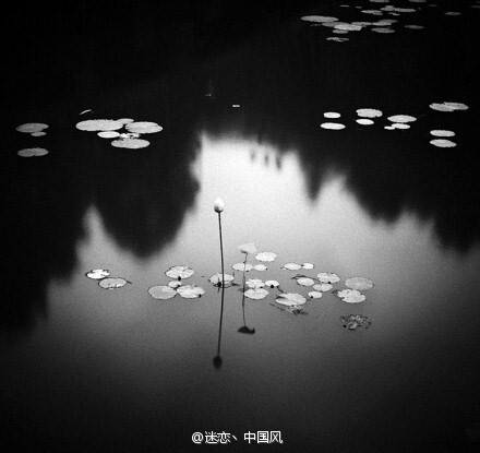 小荷才露尖尖角