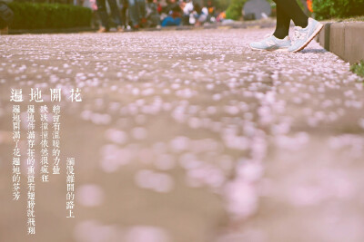 摄影，春天 ＃桃花依旧笑春风＃