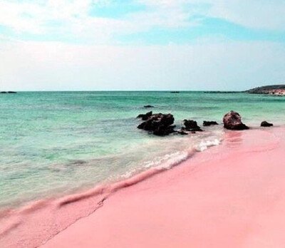 世上独一无二的粉色沙滩 巴哈马哈勃岛东侧的Pink Sands Beach