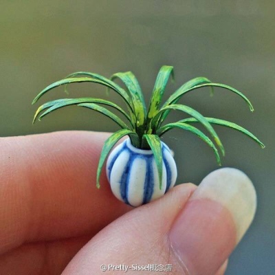 微缩植物