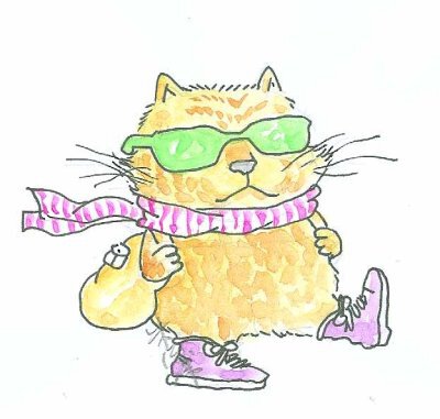 昨晚家中老猫对我说：主人，又是周六周日，出去旅行吧。我说好呀，我们走遍所有的国家。老猫回答：你太贪心了，我只想爬遍所有的电线桿。