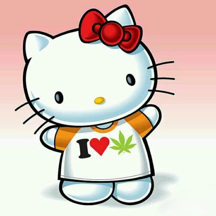 hello kitty ~~