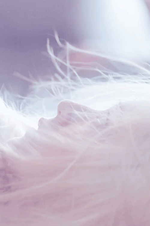 郑秀晶 Krystal Fx