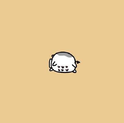 小花猪的小头像画好啦！！！来自微博 大绵羊bobo