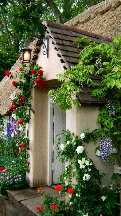壁纸 风景 花 房屋 意境