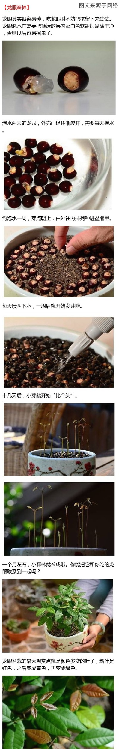 1【DIY盆栽】在这个大网络时代，每位童鞋都该拥有一个专属的个性盆栽，尤其是每天都对着电脑的童鞋。去市场买？那也太out了！其实很多水果核都可以变成有趣个性的盆栽哦，简单几步，就能让水果种子变身成杯子里的小…