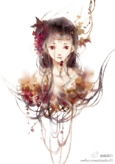 晓泊