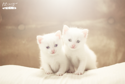 两小无猜～（米啊和慕斯小小的时候）