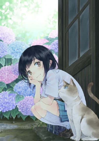 插画