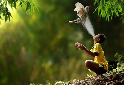 Life In Indonesian Villages很有生命力和现实感的一组摄影