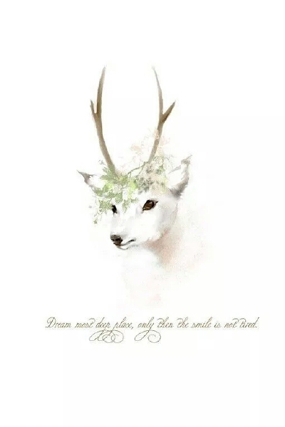 deer friend 树深时见鹿 麋鹿 鹿