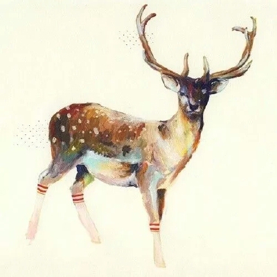 deer friend 树深时见鹿 麋鹿 鹿