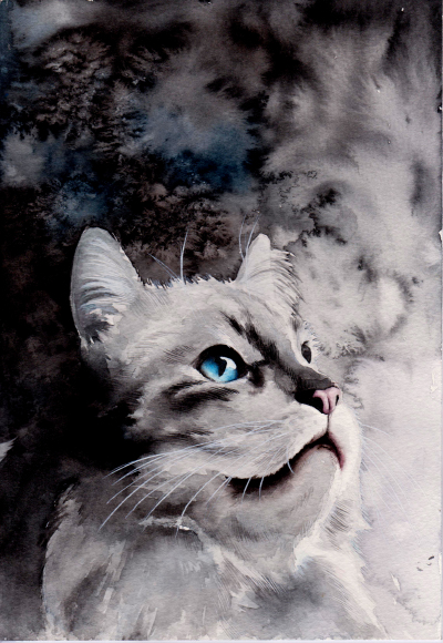 水彩 猫 喵星人 小清新插畫 http://www.duitang.com/album/57793371/