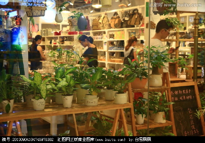 原木风格 室内花店
