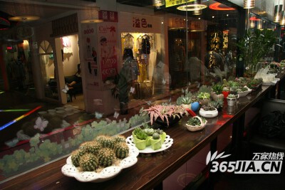 室内花店