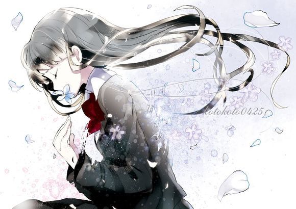 kotokoto