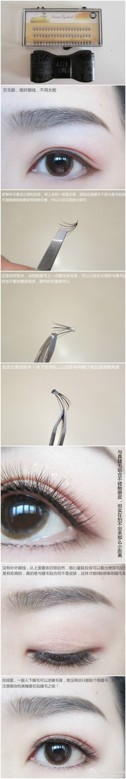 睫毛