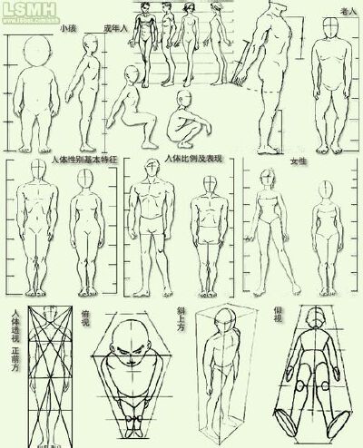 人体