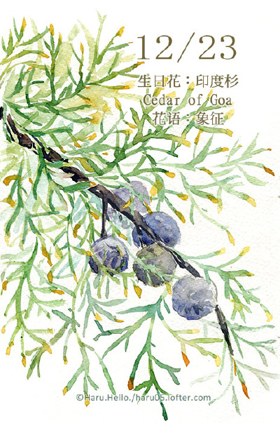 微博：@豆芽君的haru酱 