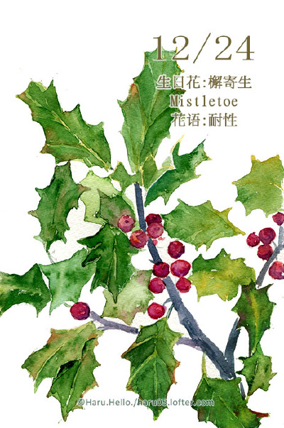 微博：@豆芽君的haru酱 