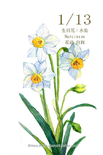 微博：@豆芽君的haru酱 